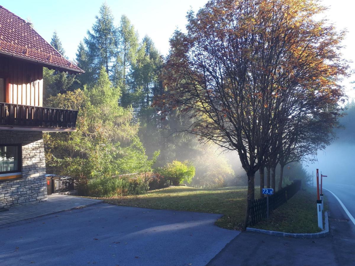 Ferienhaus Aloisia Sankt Michael im Lungau Exteriör bild